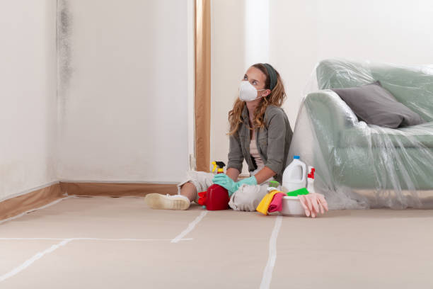Reliable Mold Inspection And Testing contractor in Trenton, MI by Car Mold Remediation